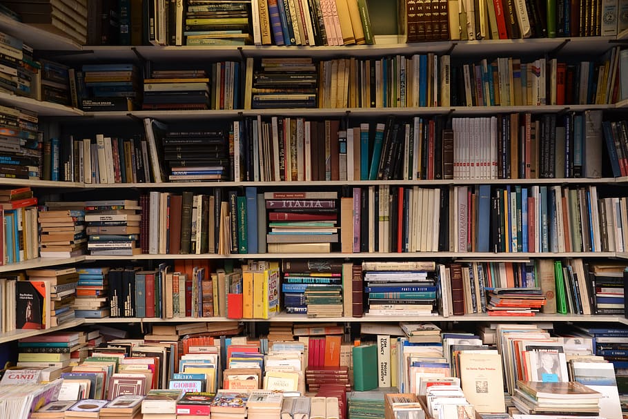 livros, livraria, ler, negócios, biblioteca, estante, antiquariado, mercado de livros, venda, navegar