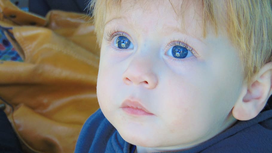 rubio, bebé de pelo, niño pequeño, ojos azules, adorable, lindo, guapo, buen chico, bien educado, infancia