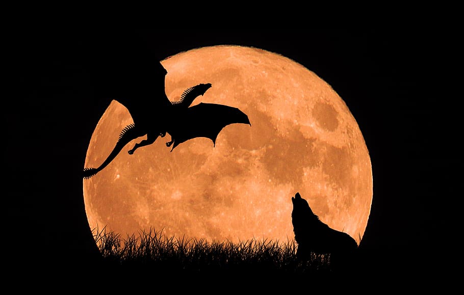moon, nature, dark, panoramic, wolf, dragon, full moon, animal, animal themes, night