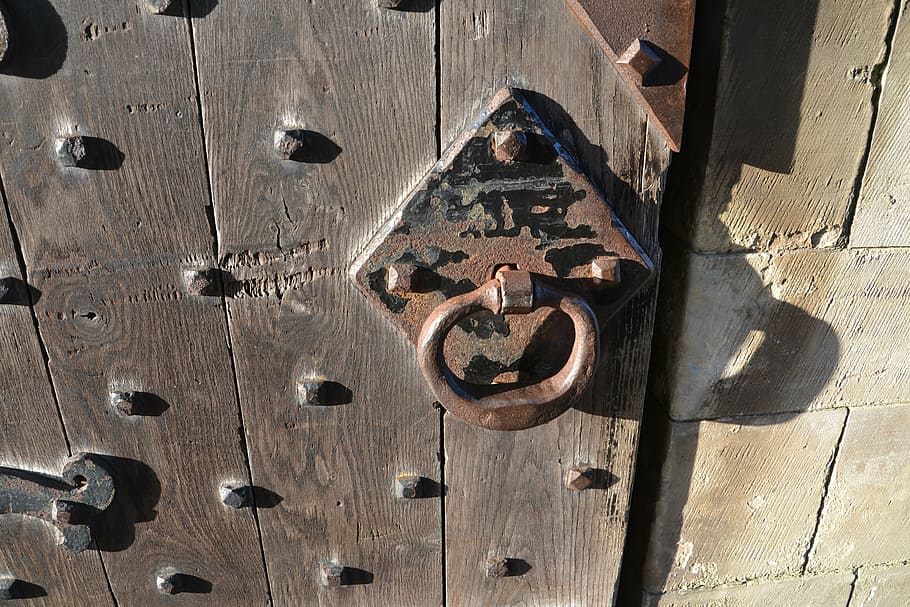 porta de carvalho, botão, manusear, trava, carvalho, madeira, de madeira, porta, frente, entrada