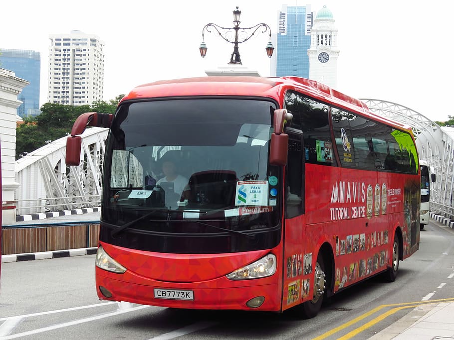 Singapore, Transport, Red Bus, City, bus, road, urban, travel, business, transportation