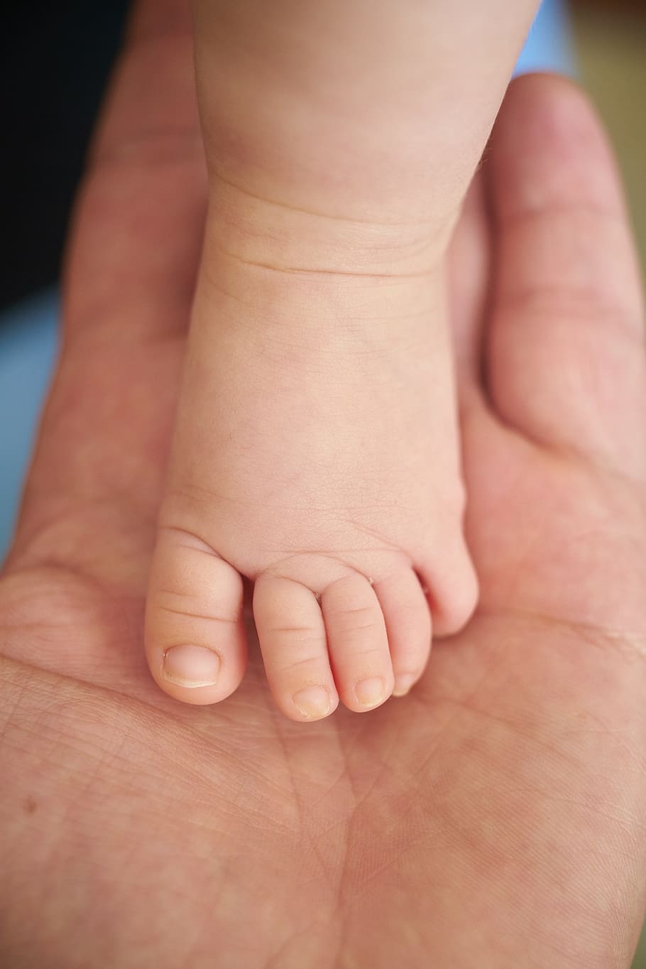 baby, left, foot, person, palm, child, little, the innocence, babies, bamo