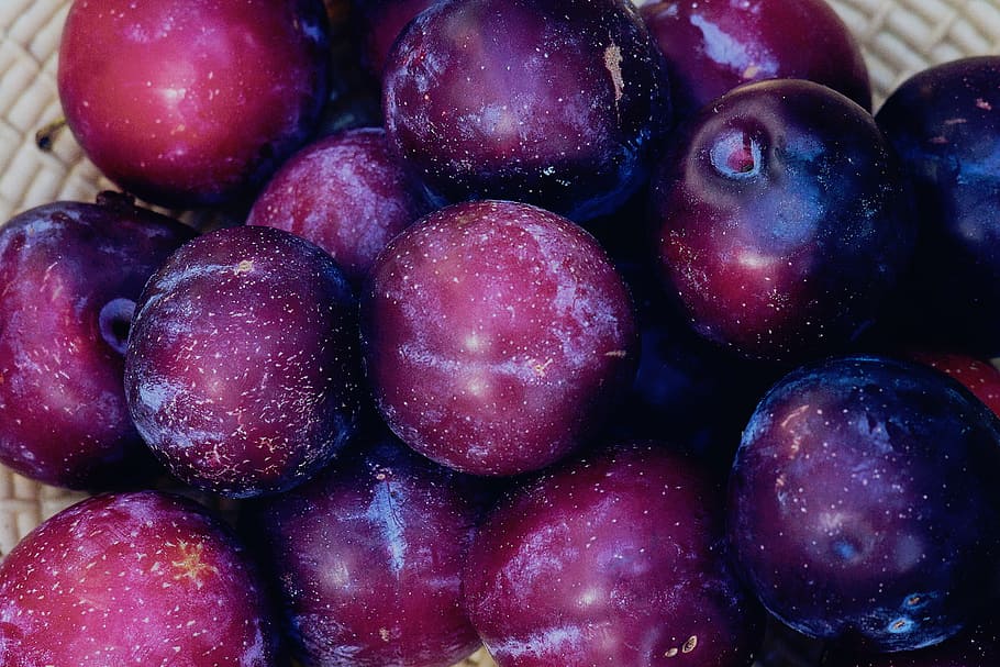 round, purple, fruits close-up photo, nature, fruits, violet, plum, fruit, food, freshness