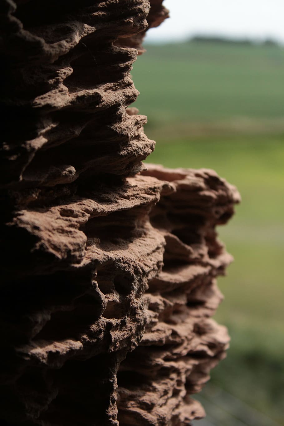 brick, stone, formation, field, holes, clay, focus on foreground, day, nature, close-up