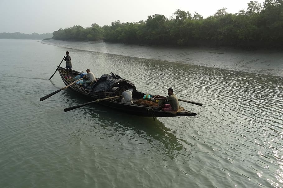 Barco, manglares, Sundarbans, bosque, río, sitio ramsar, unesco, patrimonio mundial, flora, india