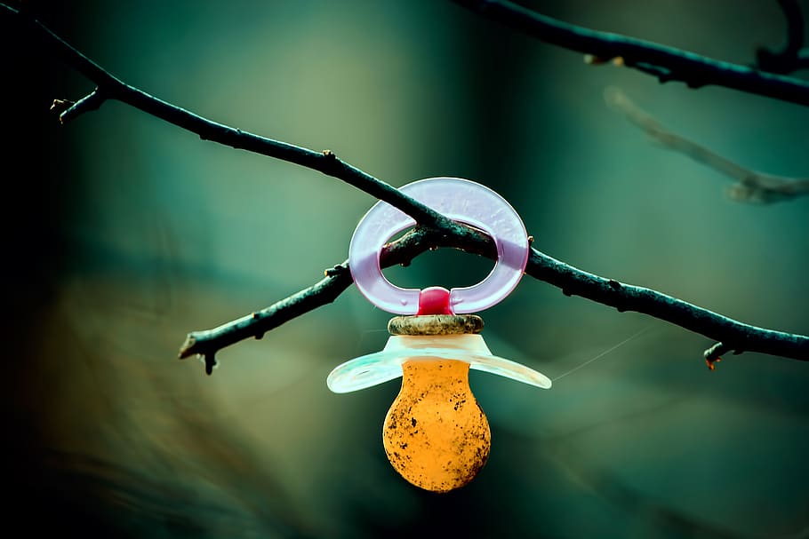 pacifier, baby, small child, child, focus on foreground, close-up, metal, day, hanging, nature
