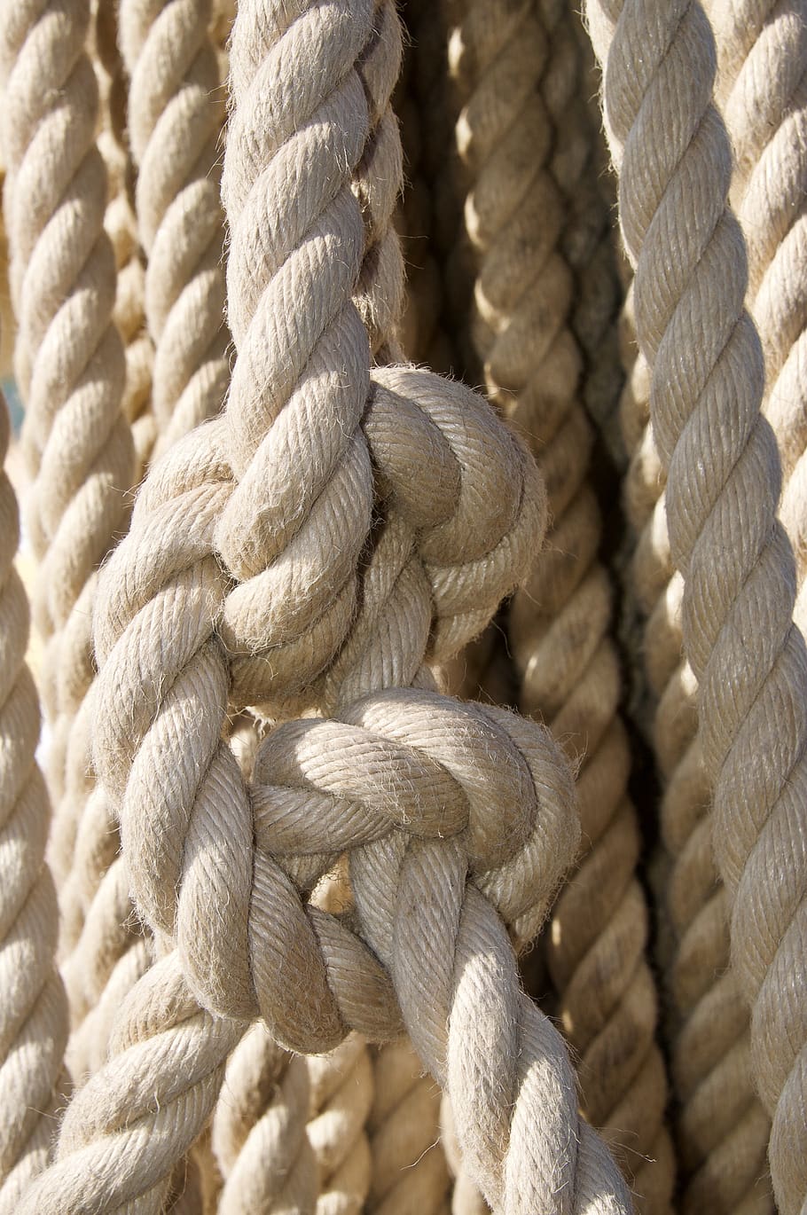 rope, knot, cordage, nautical, string, close-up, full frame, pattern, strength, backgrounds