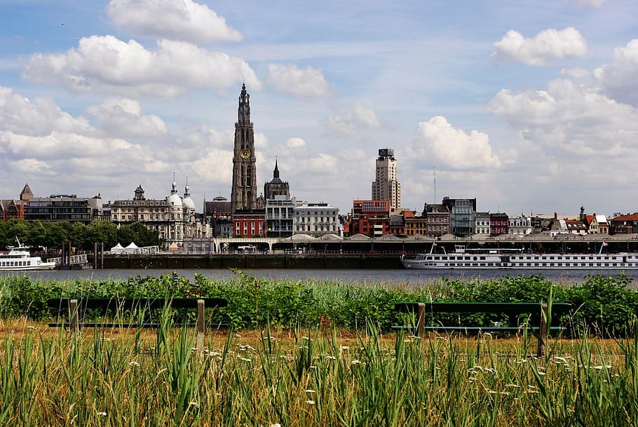 Amberes, Bélgica, horizonte, bancos, hierba, río, Schelde, estructura construida, exterior del edificio, arquitectura