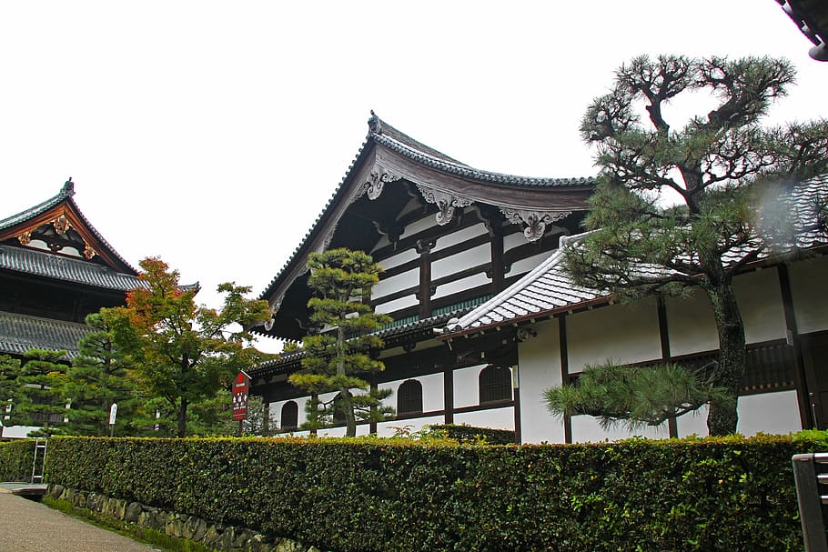 white, pagoda, trees, tofukuji temple, japan, travel, kyoto, temple, shrine, architecture
