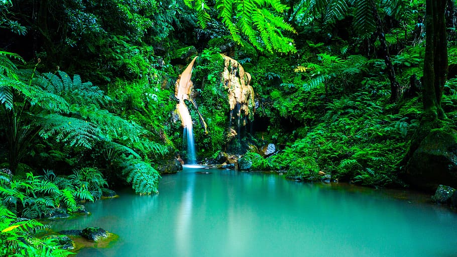 landscape photo, body, water, trees, azores, waterfall, oasis, forest, portugal, landscape