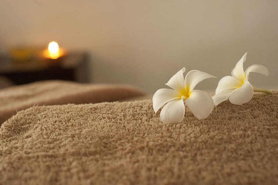 two, white, petaled flowers, brown, towel, relaxation, spa, massage, frangipani, flower