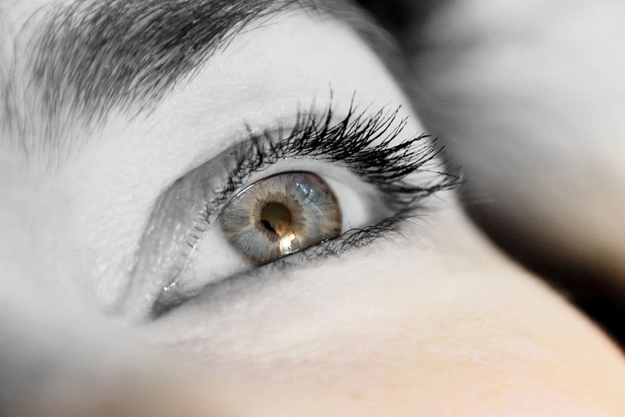 grayscale photography, right, human, eye, eyelashes, view, close, iris, woman, female