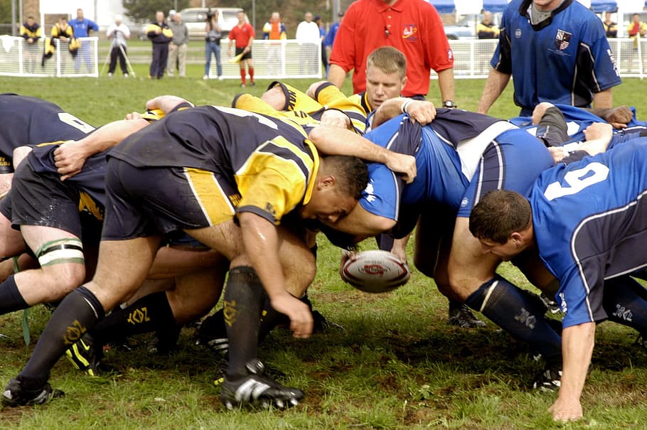 rugby sport, washington, everett, rugby, game, players, competition, tackling, grasping, men