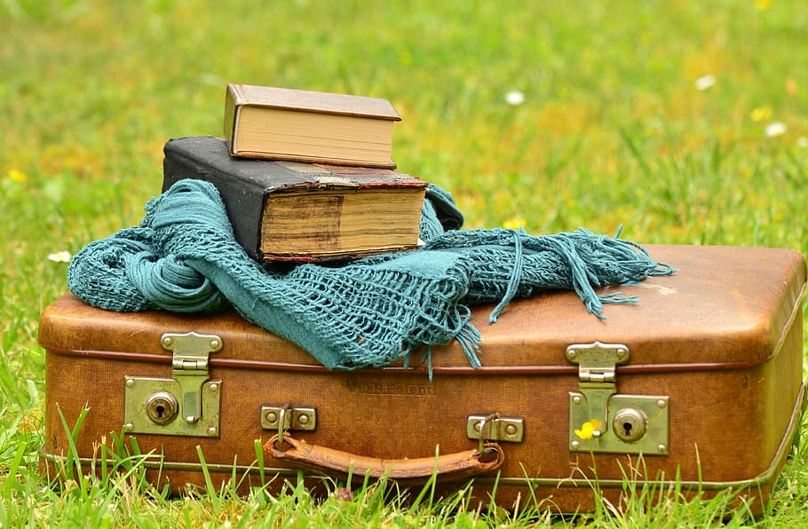 brown, leather luggage, top, green, grass, luggage, leather suitcase, old, books, nostalgia