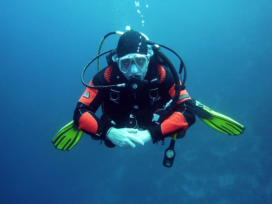 manusia, memakai, hitam, merah, menyelam, jas, bawah air, penyelam, penyelam scuba, dunia bawah laut