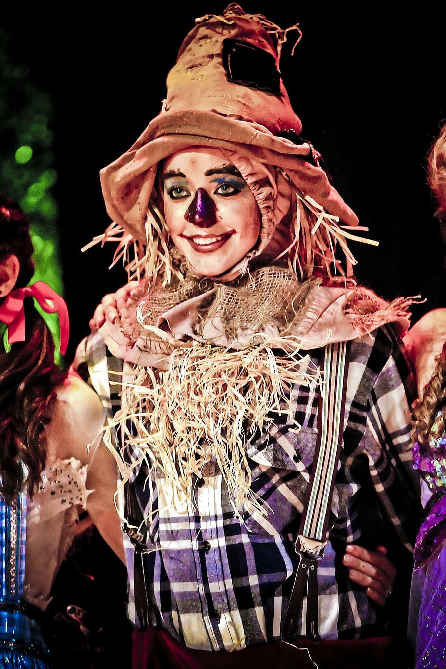person, wearing, scarecrow costume, scarecrow, actress, oz, show, hat, makeup, fantasy