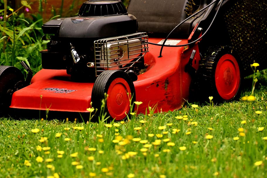 close-up, vermelho, empurrão, cortador de grama, cortar, sega de gramado, verde, prado, jardinagem, superfície da grama