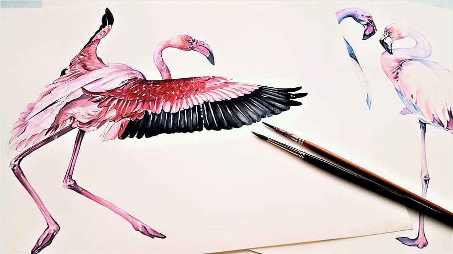 two, pink, flamingo art, paint brushes, the greater flamingo, animal, bird, art, wings, painting