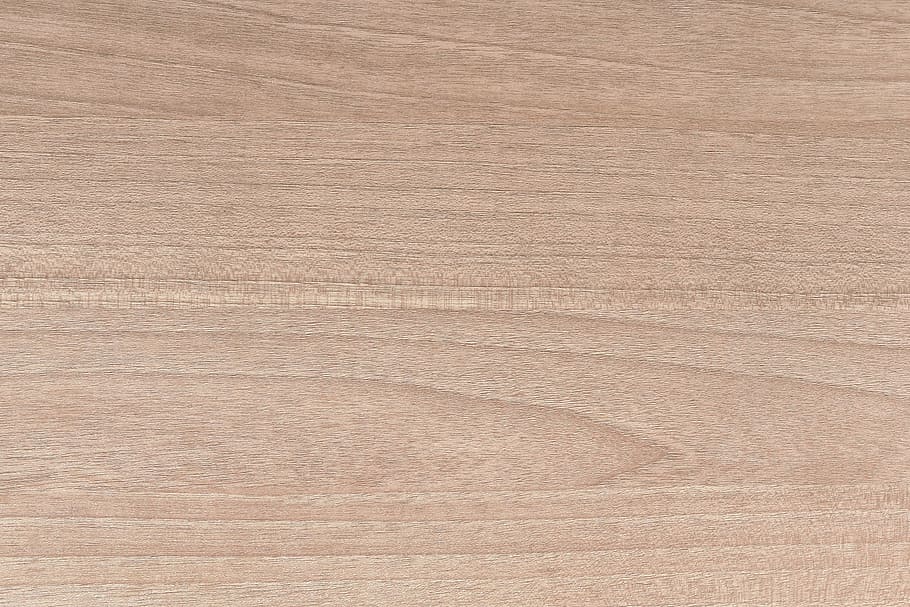 superfície de madeira bege, madeira, suave, claro, textura, plano de fundo, planos de fundo, madeira - material, grão de madeira, texturizado