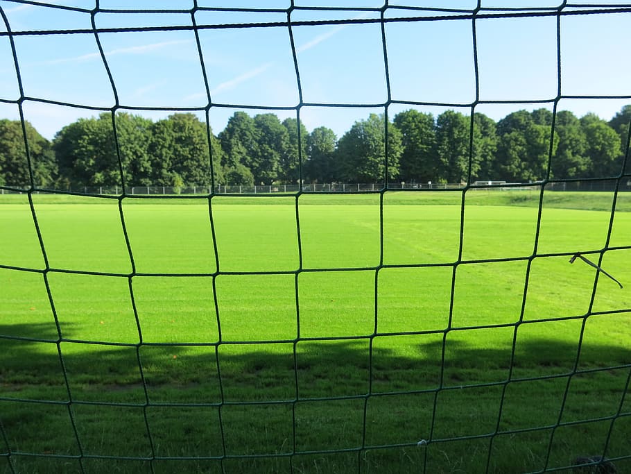 black, net, green, football field close-up photography, daytime, Rush, Football, Goal, Network, sport