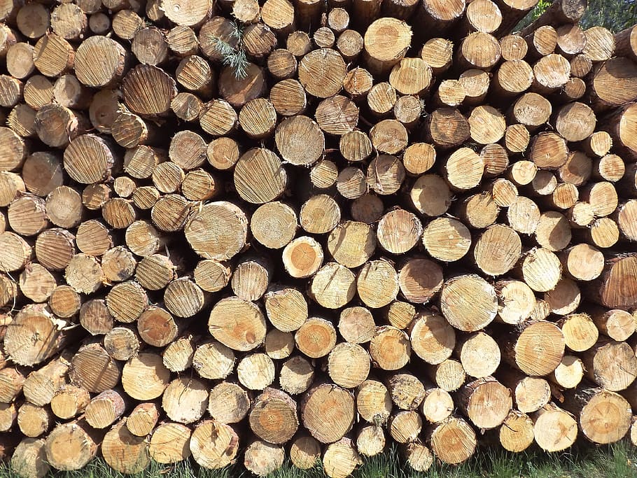 firewood pile, firewood, pile, holzstapel, pine wood, forest, wood - Material, tree, log, lumber Industry