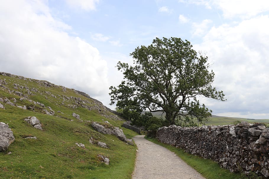 away, tree, yorkshire, wall, dry stone wall, road, sky, hiking, green, light