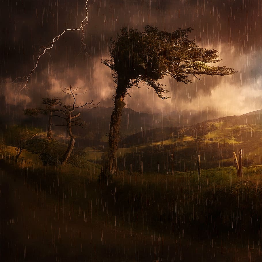 green, tree, stormy, weather, landscape, nature, mountains, reported, forests, thunderstorm
