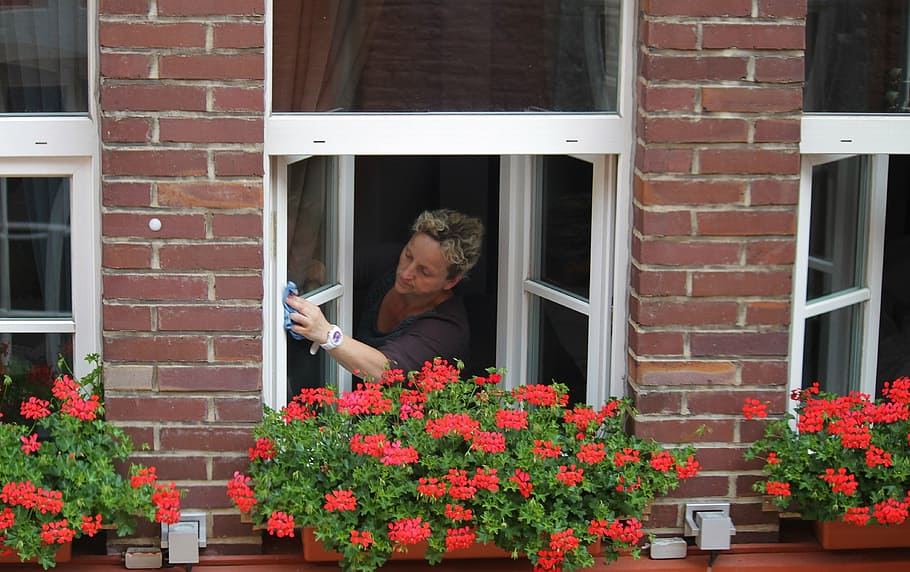 woman cleaning, clear, glass window, washing windows, window, clean, person, human, woman, work