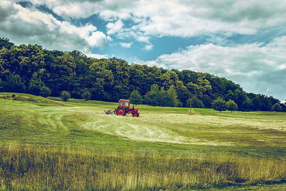 red, tractor, grass field, trees, green, lawn, daytime, vehicle, grass, field