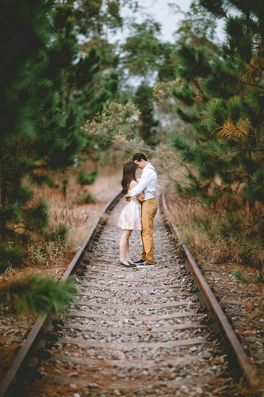 man, woman, hogging, train rail, nature, love, couple in love, grooms, romantic, landscape