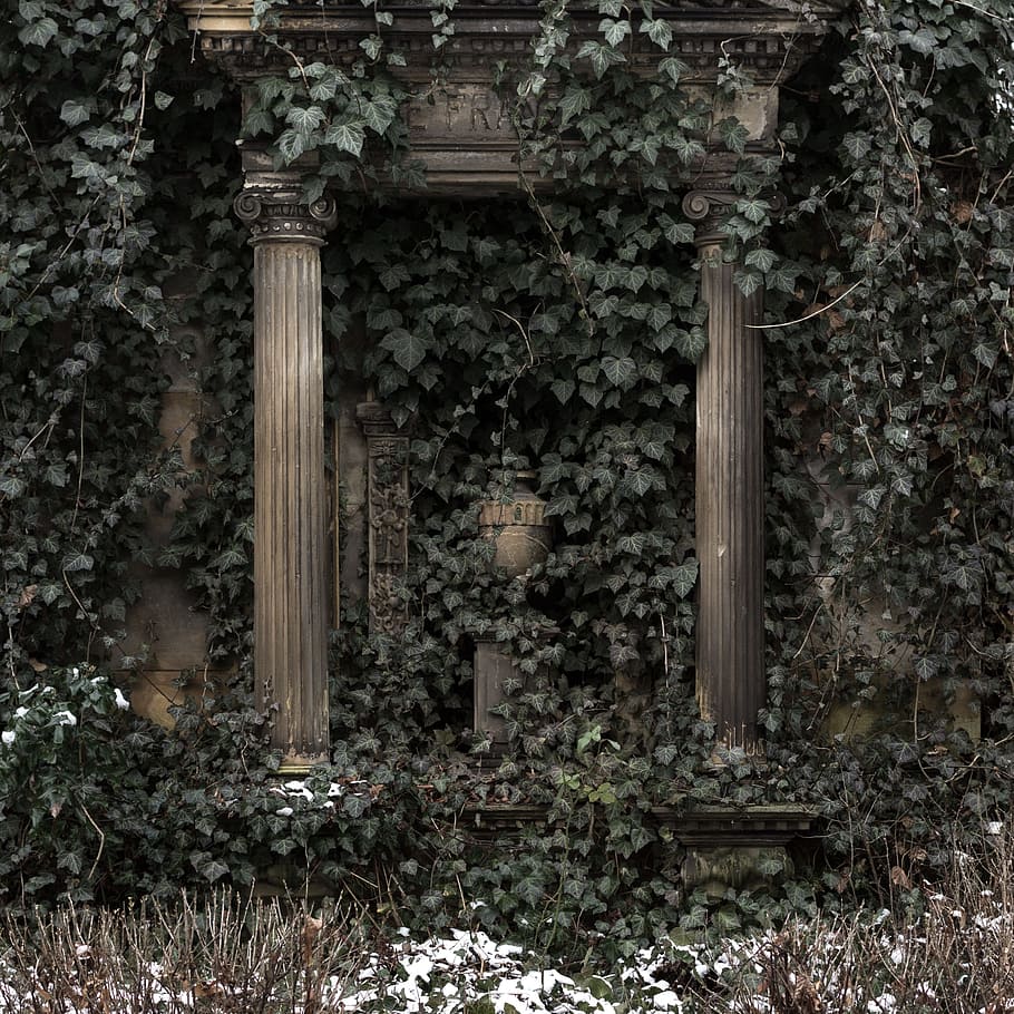pillar with plant, mourning, ivy, grave, cemetery, death, dead, die, leave, tomb