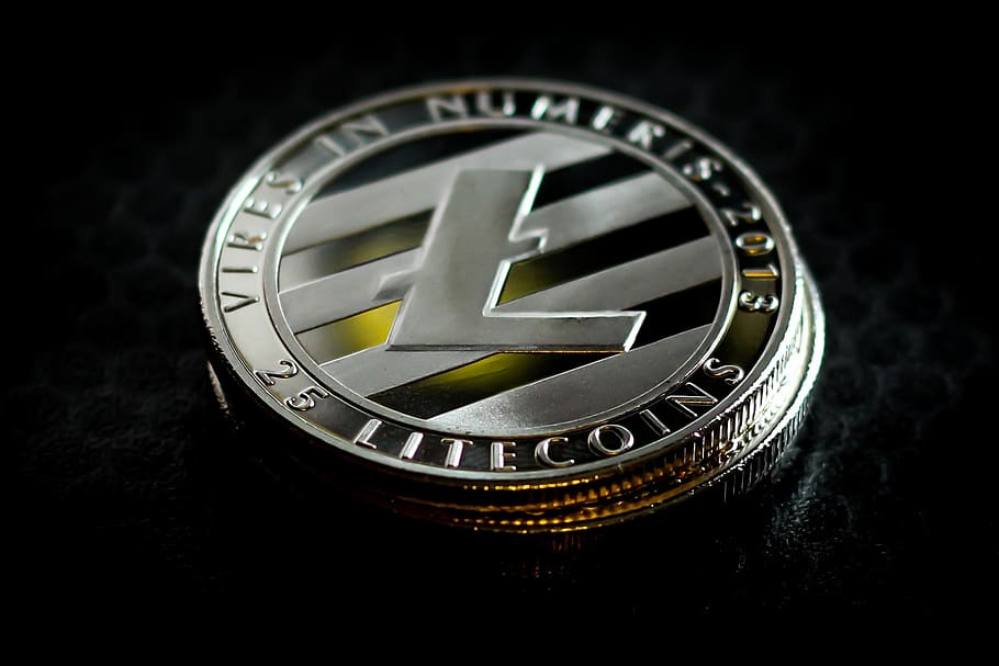 litecoin, business, finance, financial, coin, cryptocurrency, wealth, money, currency, payment
