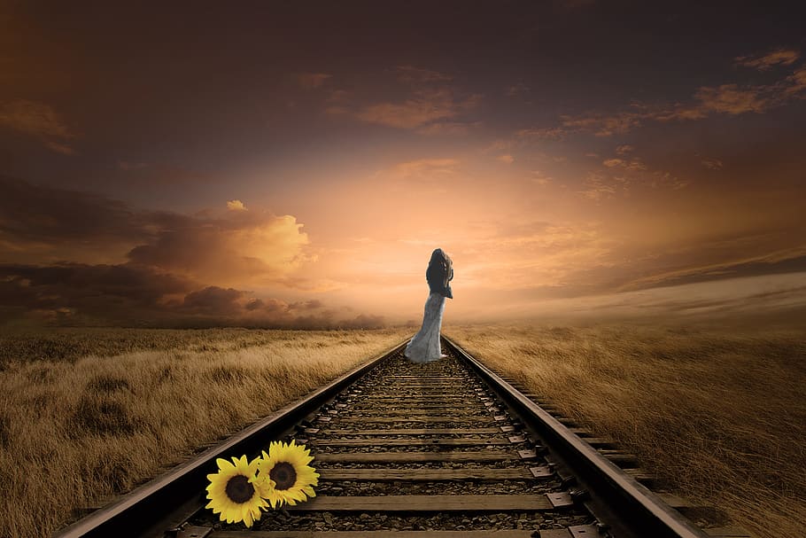 woman, standing, center, train rail, sunflower, stored sunflower, seemed, go forward, don't turn around, sunset