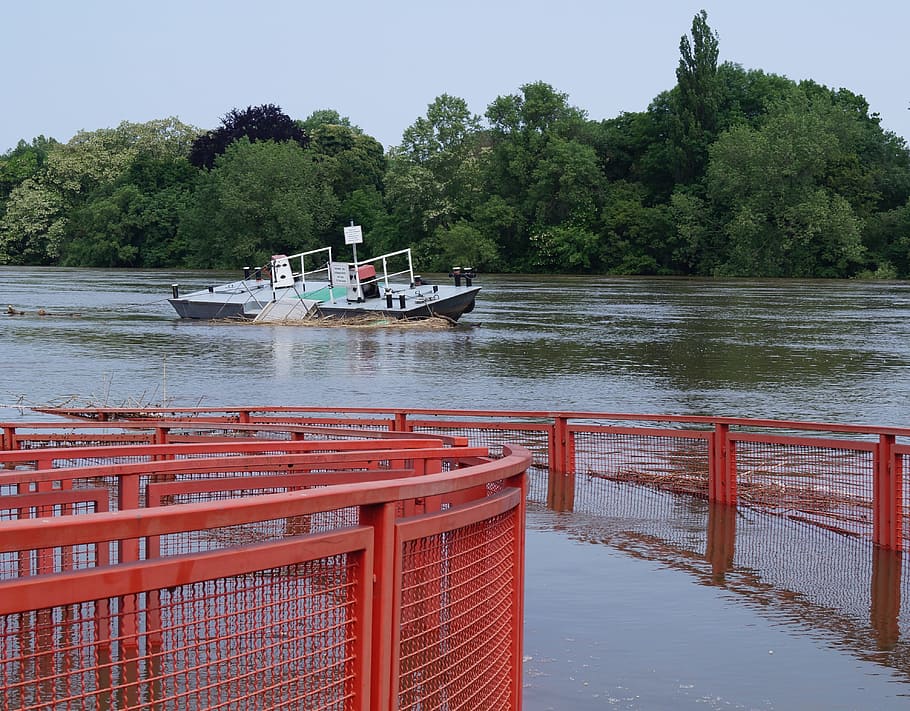 High Water, Ferry Terminal, Elbe, magdeburg, brown broth, land under, water, nautical vessel, tree, outdoors