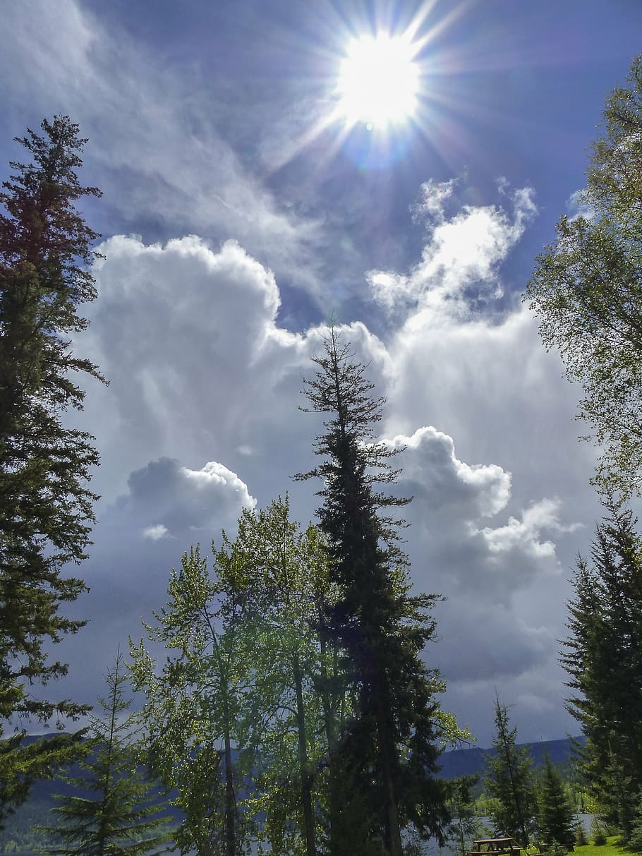 cumulus clouds, clouds, thunderstorm, weather, sky, landscape, scenery, trees, nature, gleaming sun