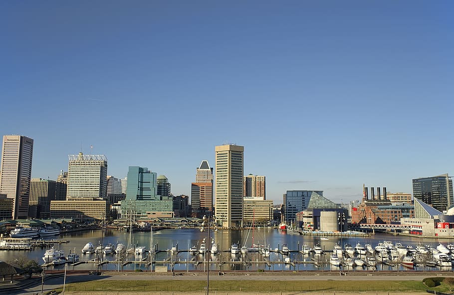 blanco, alto, edificio de altura, Baltimore, puerto interior, barcos, ciudad, urbano, puerto, rascacielos