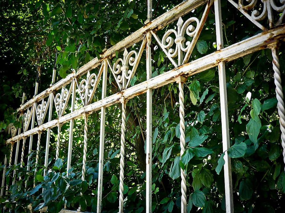 Fence, Old, Metal, Iron, Decay, transience, rusty, stainless, garden fence, ivy