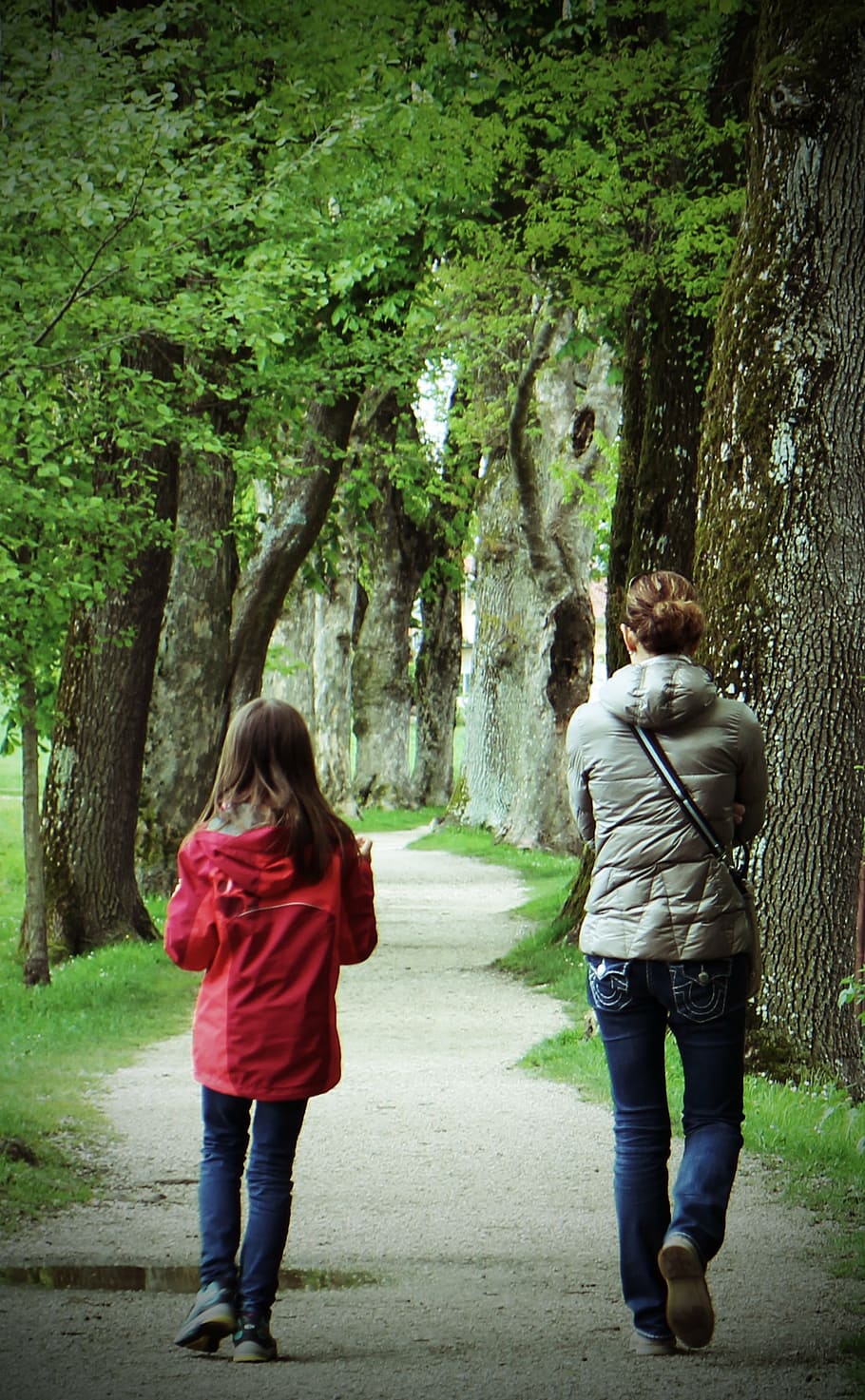 woman, girl, surrounded, trees, mother, daughter, child, personal, go, walk