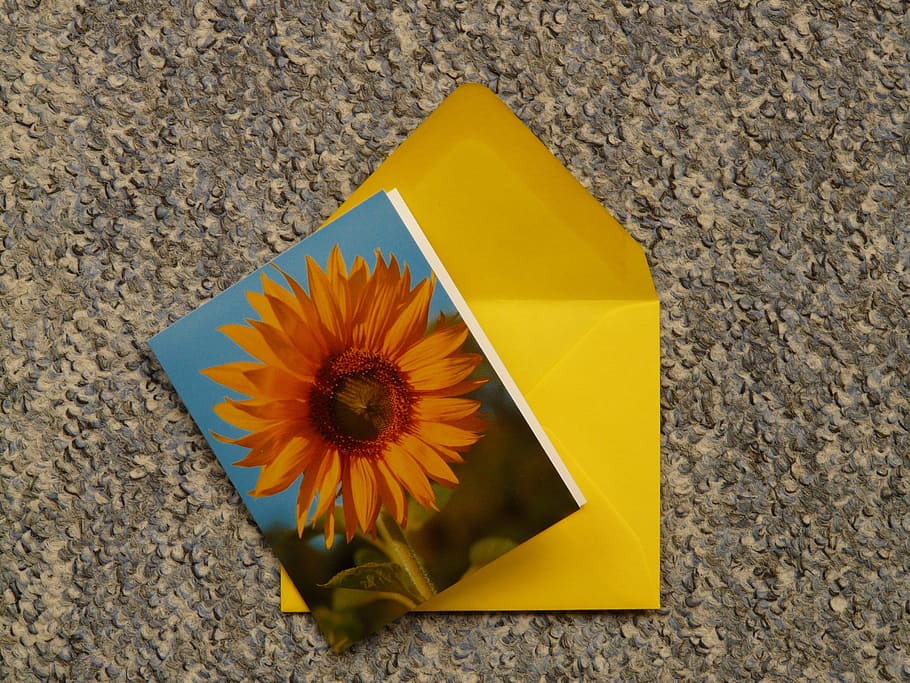 letters, map, envelope, post, wrote, leave, cards, send, yellow, flower