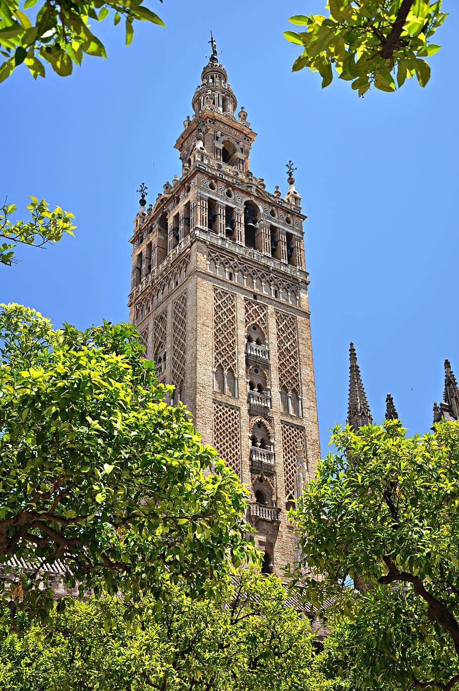 brown, concrete, tower building, blue, sky, Seville, Andalusia, Cathedral, Temple, church