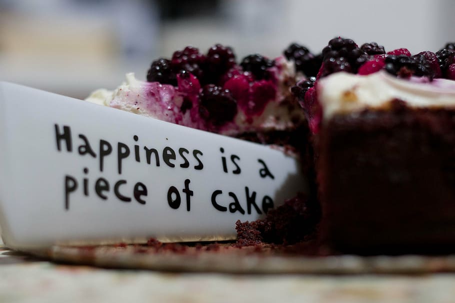 sliced, cake close-up photo, happiness, piece, cake, blueberry, fruit, sweets, dessert, cheesecake
