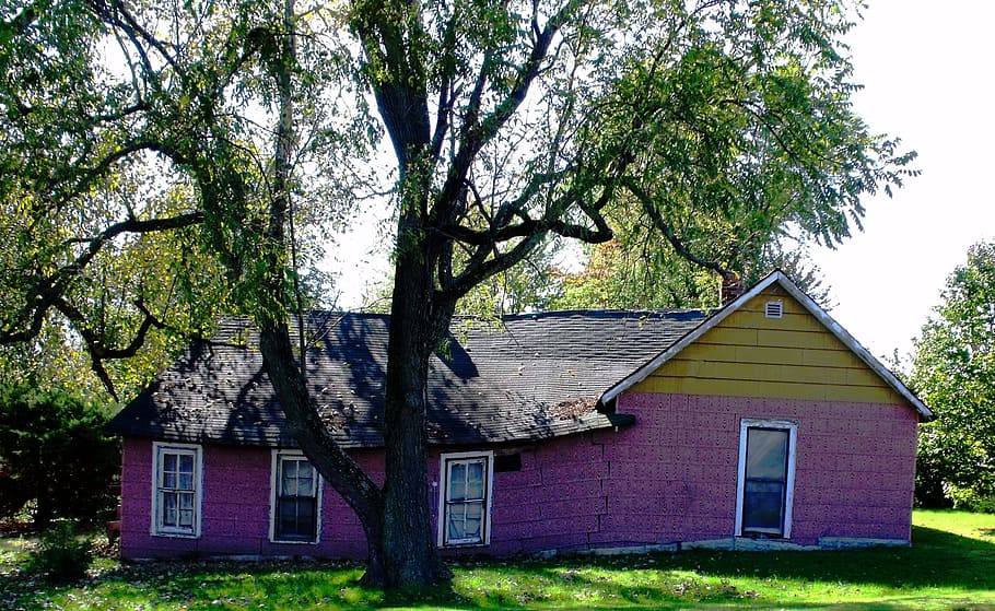 púrpura, negro, árbol, casa, viejo, torcido, dilapitado, hundido, abandonado, hogar