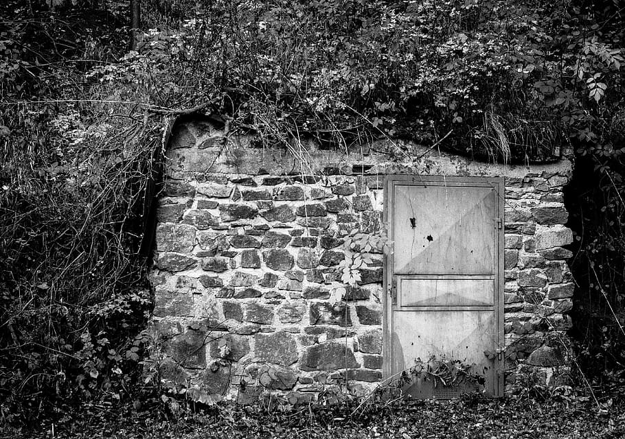 entrance, door, scary, forest, black and white, pillbox, architecture, plant, built structure, day
