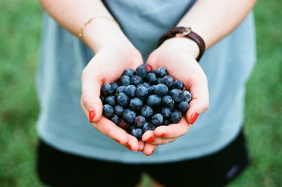 wanita memegang anggur, blueberry, buah, makanan, tangan, telapak tangan, taman, sehat, makan sehat, memegang
