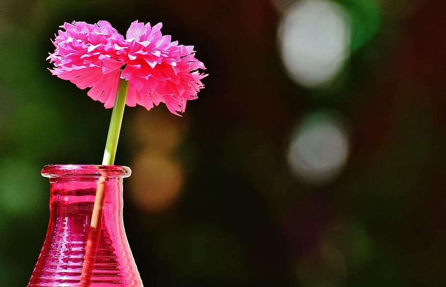 vase, glass, colorful, flower, decoration, decorative glass, deco, transparent, dekoblume, flowering plant