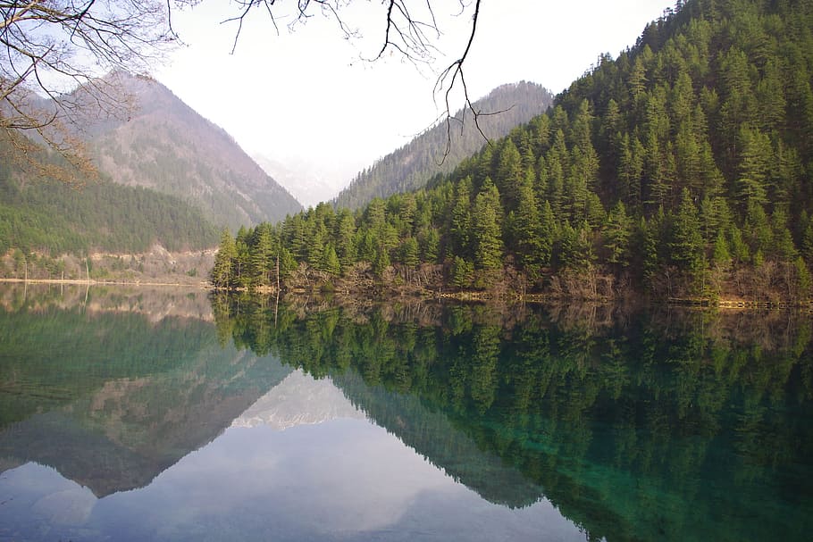 jiuzhaigou, mirror lake, scenery, reflection, water, tree, beauty in nature, lake, tranquility, waterfront