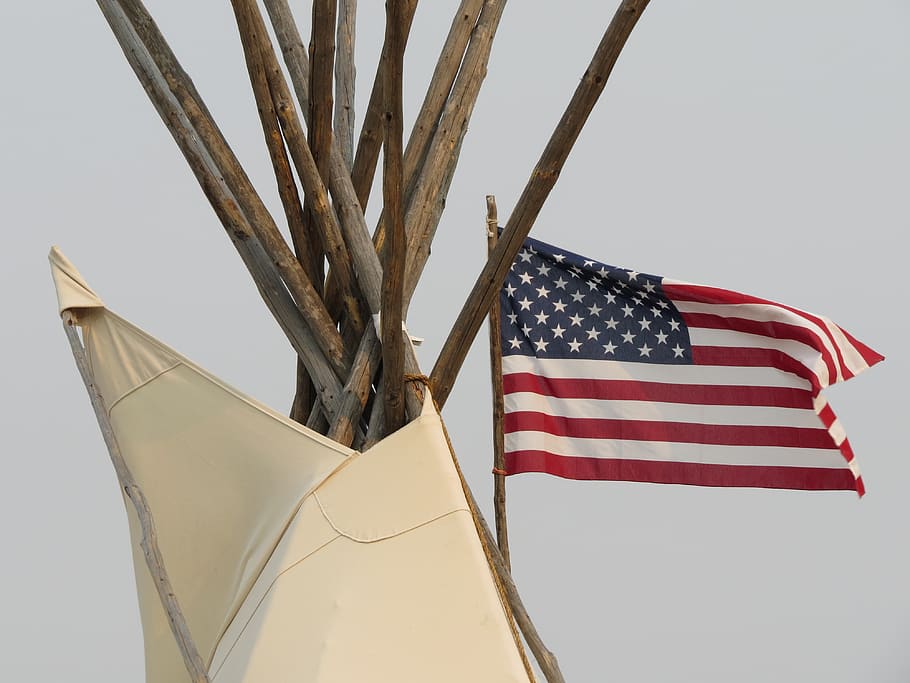 tippi, tipi, nativo americano, tienda de campaña, cultura, américa, bandera, indios, dakota, tribu