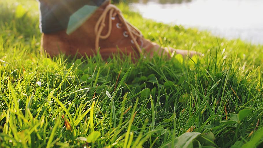 persona, en pie, hierbas, selectivo, atención, fotografía, verde, zapatos, suelo, sección baja