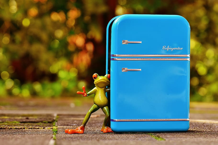 green, tree frog figurine, next, blue, metal case, frog, refrigerator, figure, funny, fun