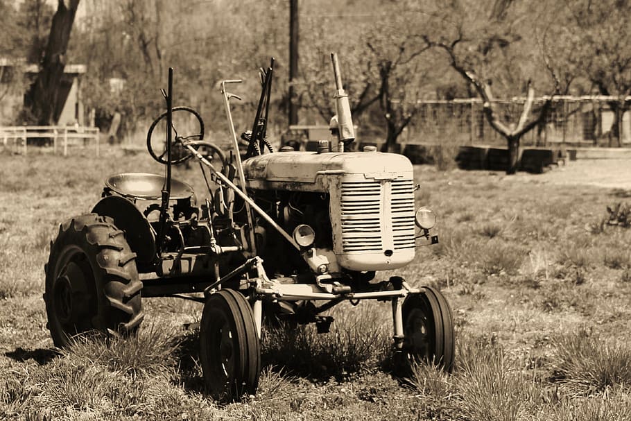 tractor, grass field, daytime, retro, farm, farming, new mexico, green, agricultural, agriculture